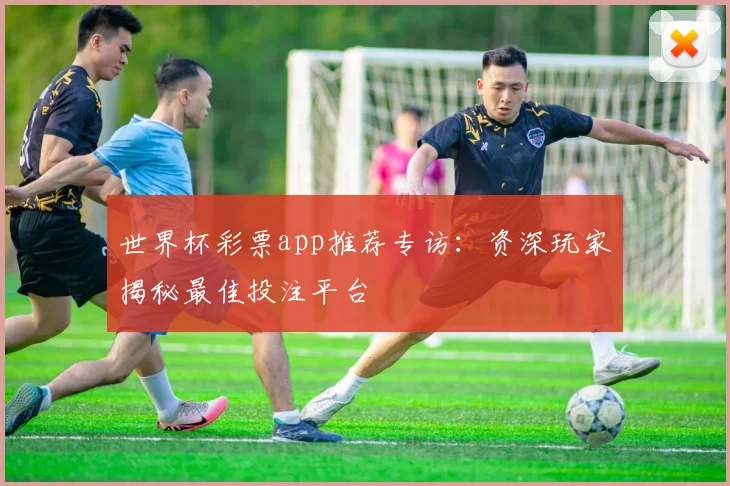世界杯彩票app推荐专访：资深玩家揭秘最佳投注平台