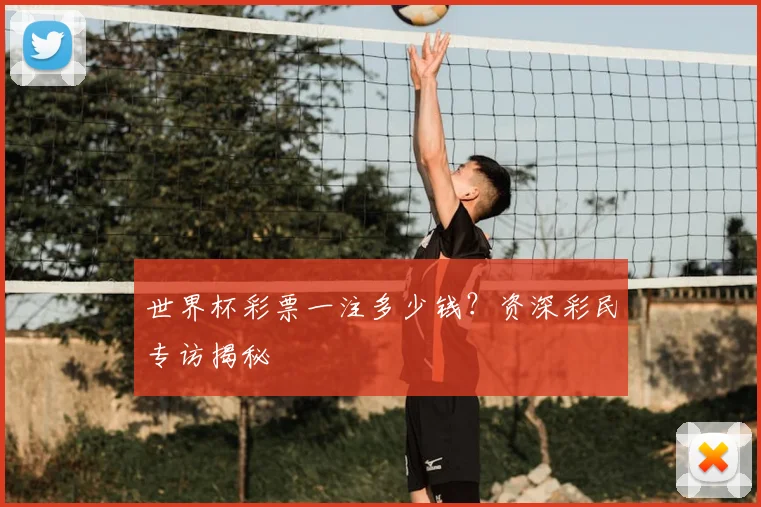 世界杯彩票一注多少钱？资深彩民专访揭秘
