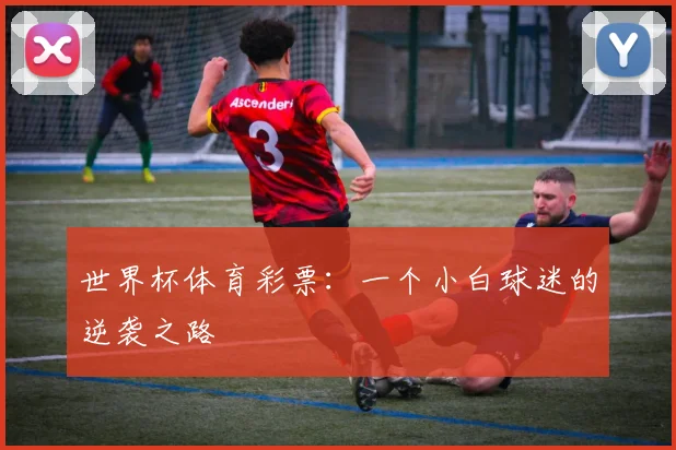 世界杯体育彩票:一个小白球迷的逆袭之路