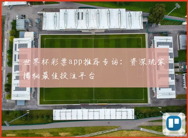 世界杯彩票app推荐专访：资深玩家揭秘最佳投注平台