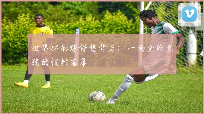 世界杯彩球停售背后：一场全民竞猜的悄然落幕