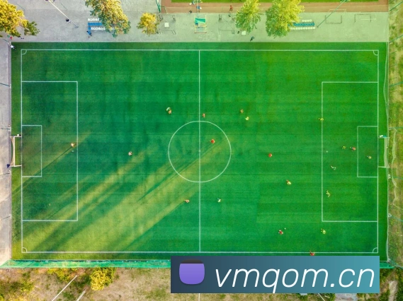 乐鱼体育app登录入口平台生态图