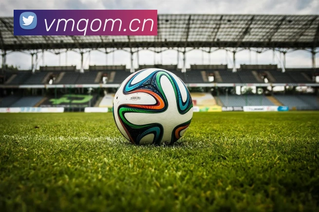 乐鱼体育app登录入口APP 封面图